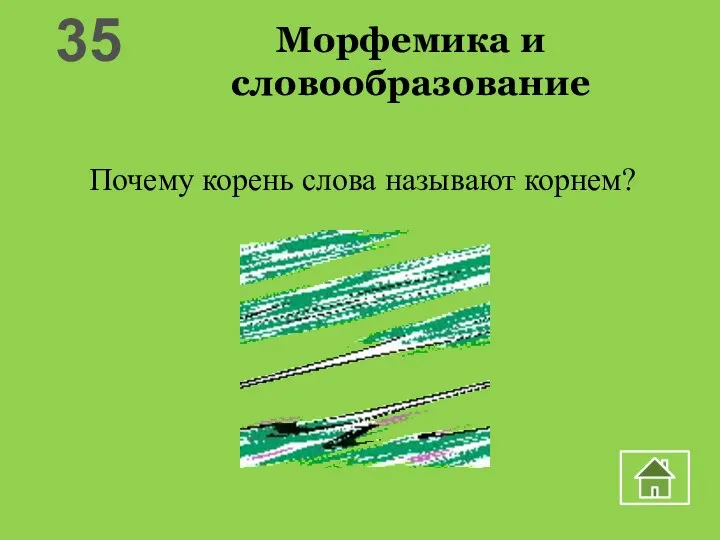 Морфемика и словообразование Почему корень слова называют корнем? 35