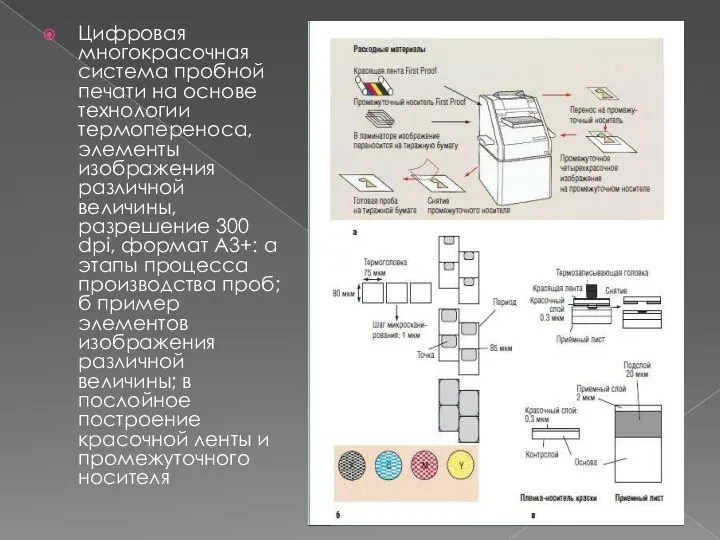 Цифровая многокрасочная система пробной печати на основе технологии термопереноса, элементы изображения различной