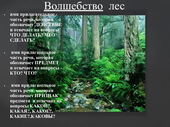 имя прилагательное -часть речи, которая обозначает ДЕЙСТВИЕ и отвечает на вопросы ЧТО