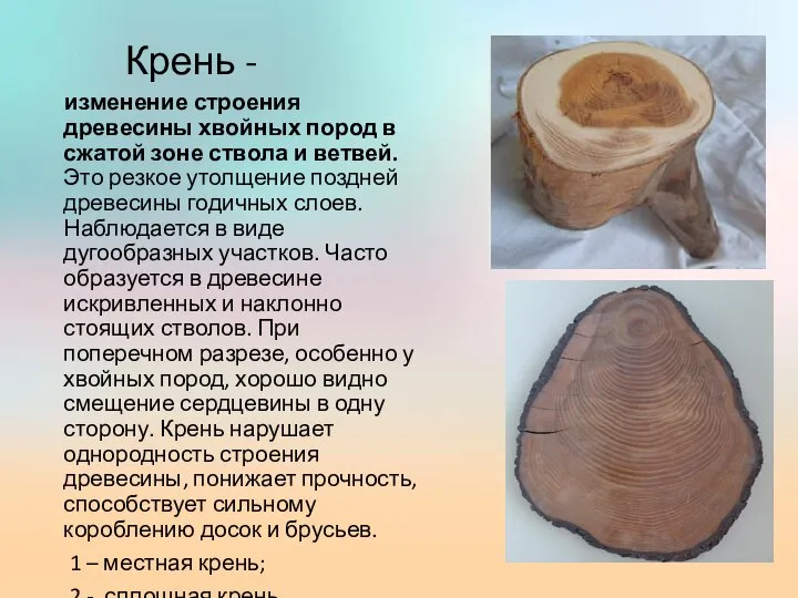 Крень - изменение строения древесины хвойных пород в сжатой зоне ствола и