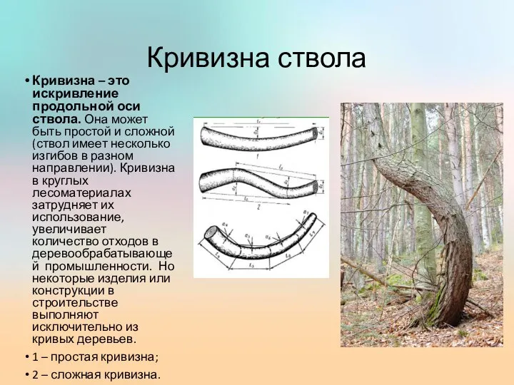 Кривизна ствола Кривизна – это искривление продольной оси ствола. Она может быть