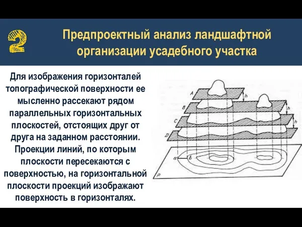 Предпроектный анализ ландшафтной организации усадебного участка Для изображения горизонталей топографической поверхности ее