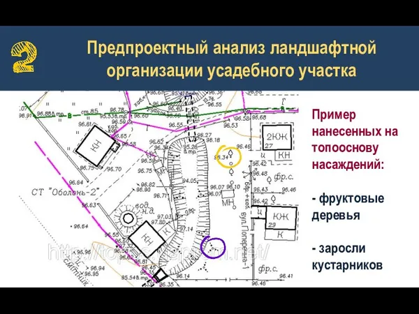 Предпроектный анализ ландшафтной организации усадебного участка Пример нанесенных на топооснову насаждений: -