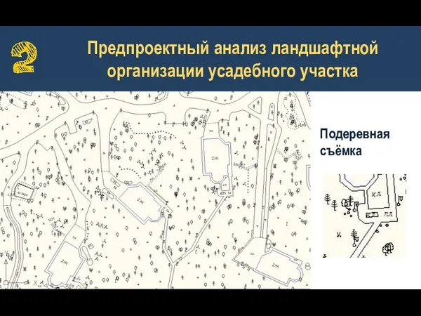 Предпроектный анализ ландшафтной организации усадебного участка Подеревная съёмка