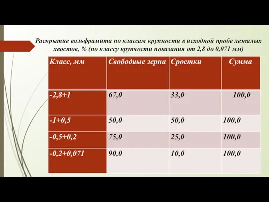 Раскрытие вольфрамита по классам крупности в исходной пробе лежалых хвостов, % (по