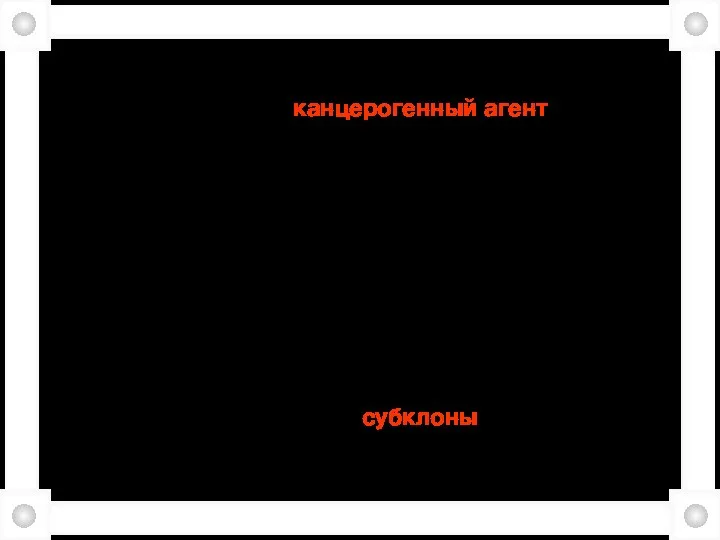 1/ Согласно теории моноклонального происхождения, первоначальный канцерогенный агент (фактор вызывающий опухоль) вызывает