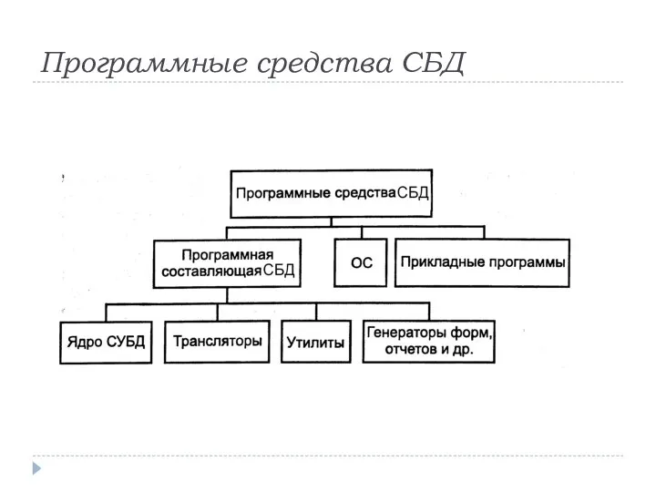 Программные средства СБД