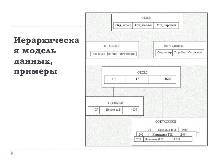 Иерархическая модель данных, примеры