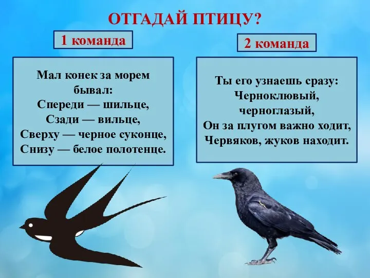 ОТГАДАЙ ПТИЦУ? 1 команда Мал конек за морем бывал: Спереди — шильце,