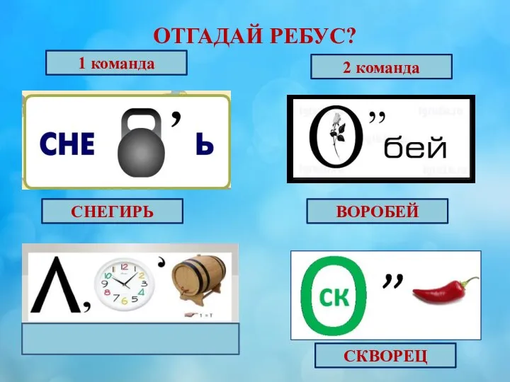 ОТГАДАЙ РЕБУС? 1 команда 2 команда СНЕГИРЬ ВОРОБЕЙ СКВОРЕЦ