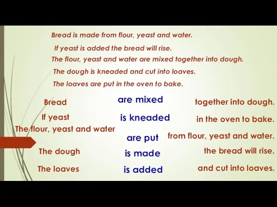 Bread If yeast The flour, yeast and water The dough The loaves
