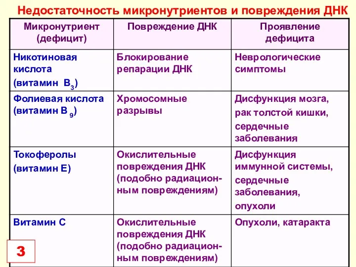 Недостаточность микронутриентов и повреждения ДНК 3