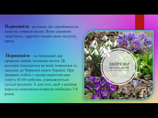 Первоцвіти - рослини, які сприймаються нами як символи весни. Вони першими зацвітають,