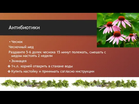 Антибиотики Чеснок Чесночный мед Раздавите 5-6 долек чеснока 15 минут полежать, смешать