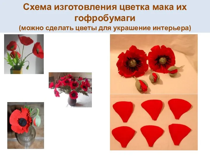 Схема изготовления цветка мака их гофробумаги (можно сделать цветы для украшение интерьера)