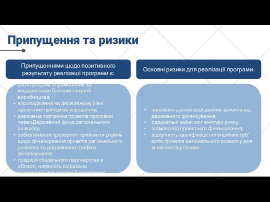 Припущення та ризики підготовка та реалізація на державному рівні програм, спрямованих на