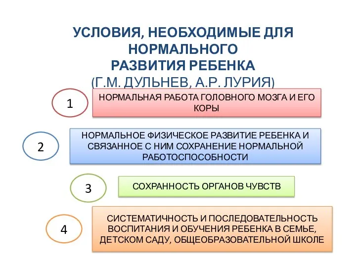 УСЛОВИЯ, НЕОБХОДИМЫЕ ДЛЯ НОРМАЛЬНОГО РАЗВИТИЯ РЕБЕНКА (Г.М. ДУЛЬНЕВ, А.Р. ЛУРИЯ) 1 2