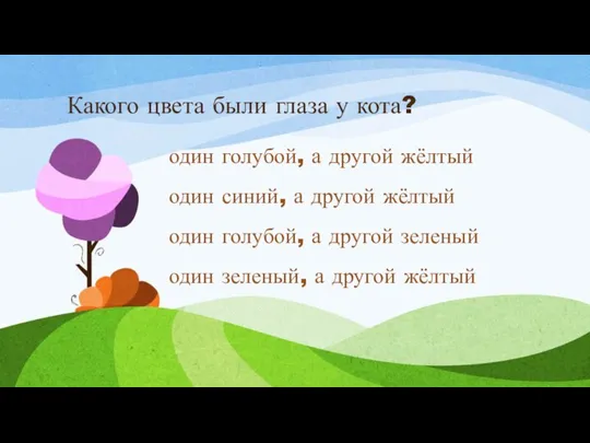 Какого цвета были глаза у кота? один голубой, а другой жёлтый один