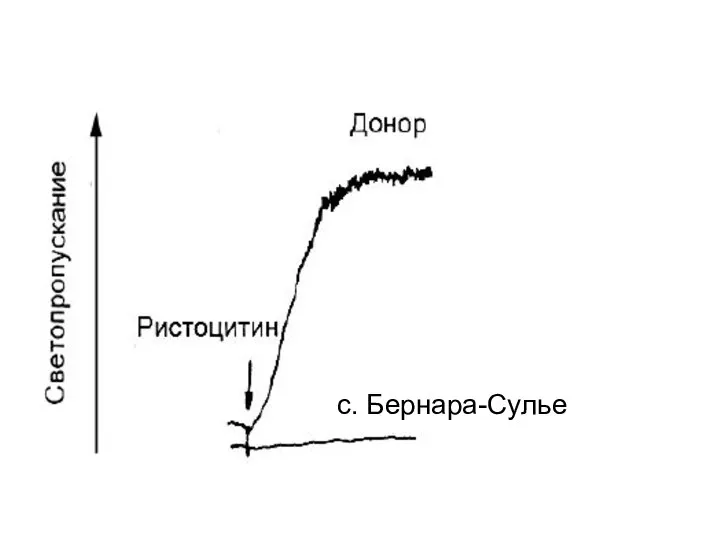 с. Бернара-Сулье