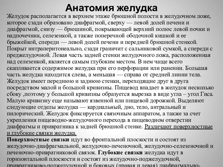 Анатомия желудка Желудок располагается в верхнем этаже брюшной полости в желудочном ложе,