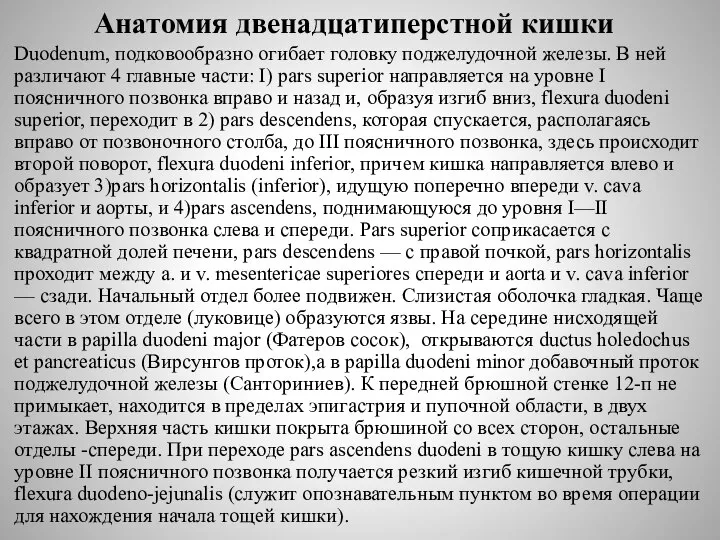 Анатомия двенадцатиперстной кишки Duodenum, подковообразно огибает головку поджелудочной железы. В ней различают