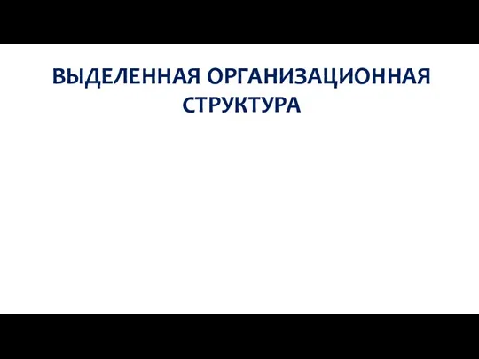 ВЫДЕЛЕННАЯ ОРГАНИЗАЦИОННАЯ СТРУКТУРА