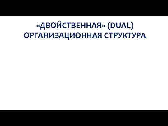 «ДВОЙСТВЕННАЯ» (DUAL) ОРГАНИЗАЦИОННАЯ СТРУКТУРА