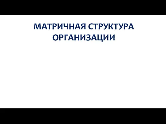 МАТРИЧНАЯ СТРУКТУРА ОРГАНИЗАЦИИ