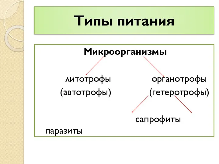 Типы питания Микроорганизмы литотрофы органотрофы (автотрофы) (гетеротрофы) сапрофиты паразиты