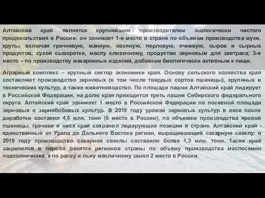 Алтайский край является крупнейшим производителем экологически чистого продовольствия в России: он занимает