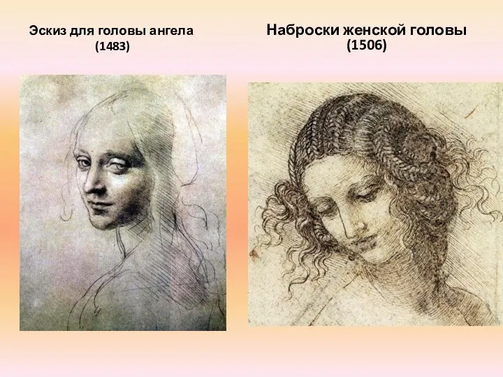 Эскиз для головы ангела (1483) Наброски женской головы (1506)