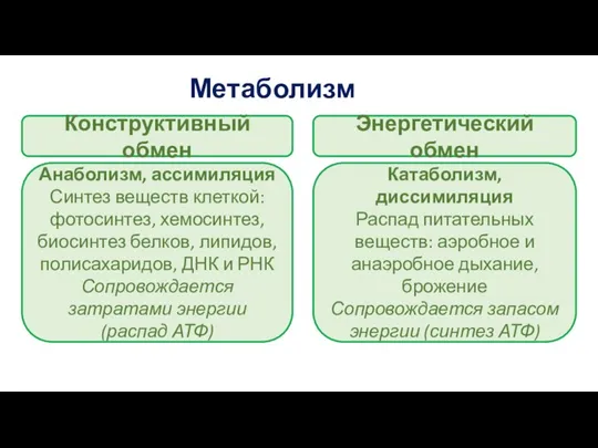 Метаболизм Конструктивный обмен Энергетический обмен Анаболизм, ассимиляция Синтез веществ клеткой: фотосинтез, хемосинтез,
