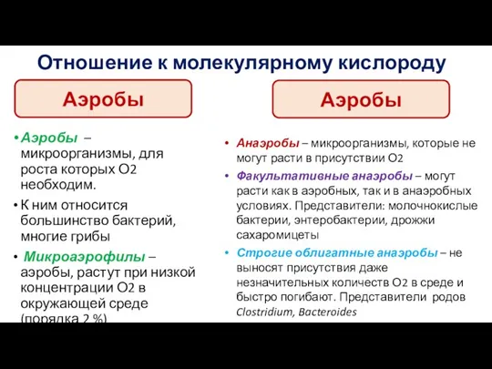 Отношение к молекулярному кислороду Аэробы – микроорганизмы, для роста которых О2 необходим.