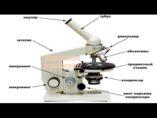 Что такое микроскоп?