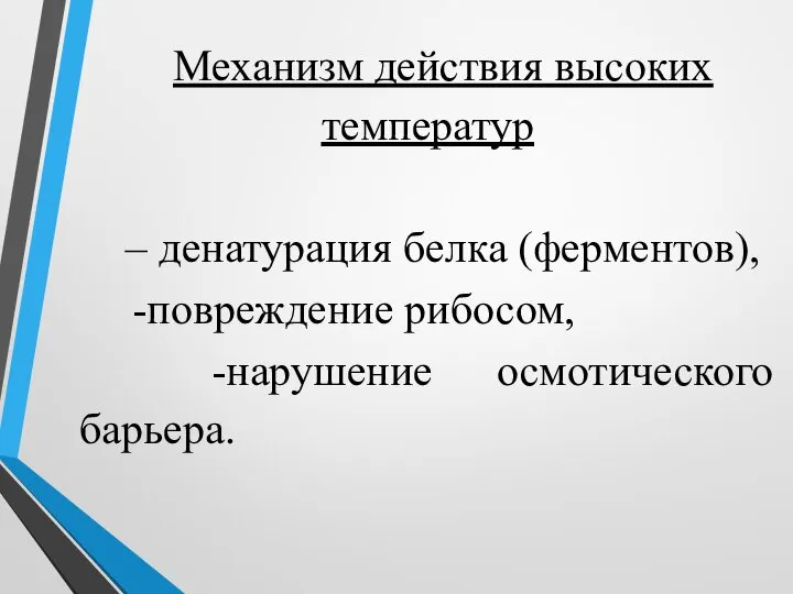 Механизм действия высоких температур – денатурация белка (ферментов), -повреждение рибосом, -нарушение осмотического барьера.