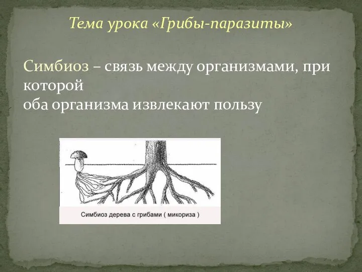 Тема урока «Грибы-паразиты» Симбиоз – связь между организмами, при которой оба организма извлекают пользу