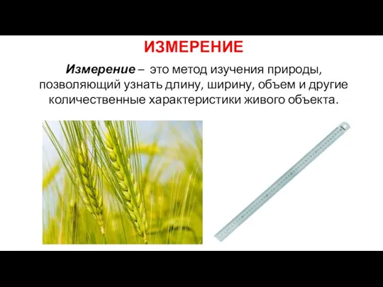 ИЗМЕРЕНИЕ Измерение – это метод изучения природы, позволяющий узнать длину, ширину, объем