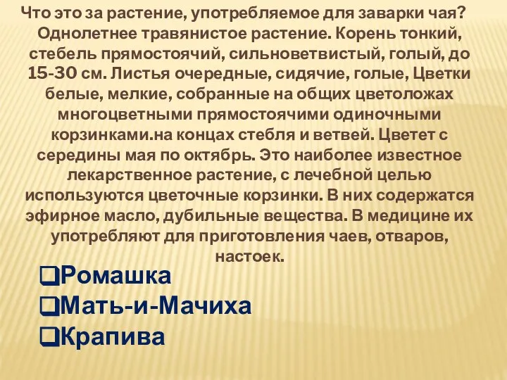 Что это за растение, употребляемое для заварки чая? Однолетнее травянистое растение. Корень