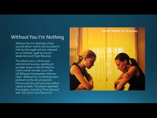 Without You I’m Nothing Without You I'm Nothing is their second album