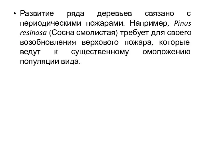 Развитие ряда деревьев связано с периодическими пожарами. Например, Pinus resinosa (Сосна смолистая)