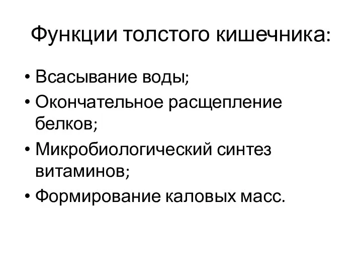 Функции толстого кишечника: Всасывание воды; Окончательное расщепление белков; Микробиологический синтез витаминов; Формирование каловых масс.