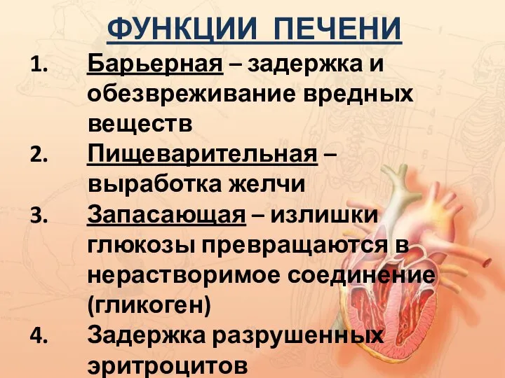 ФУНКЦИИ ПЕЧЕНИ Барьерная – задержка и обезвреживание вредных веществ Пищеварительная – выработка