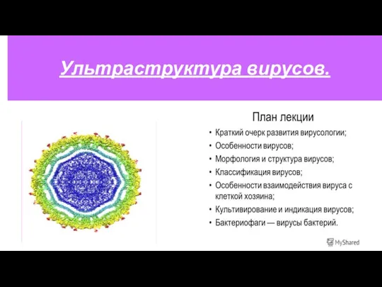 Ультраструктура вирусов.