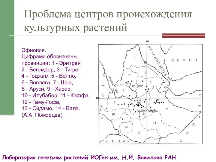 Проблема центров происхождения культурных растений Лаборатория генетики растений ИОГен им. Н.И. Вавилова