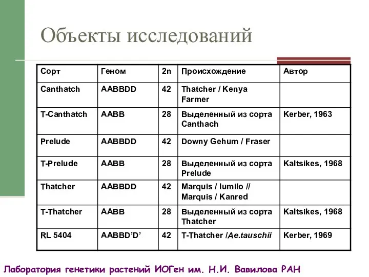 Объекты исследований Лаборатория генетики растений ИОГен им. Н.И. Вавилова РАН