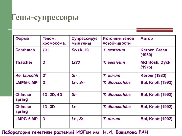 Лаборатория генетики растений ИОГен им. Н.И. Вавилова РАН Гены-супрессоры