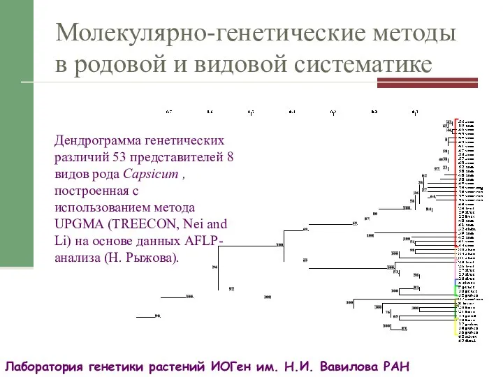 Молекулярно-генетические методы в родовой и видовой систематике Лаборатория генетики растений ИОГен им.