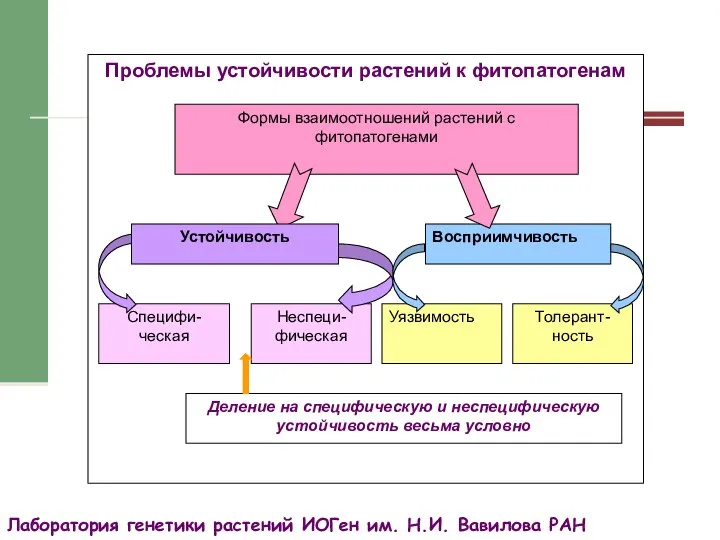 Лаборатория генетики растений ИОГен им. Н.И. Вавилова РАН