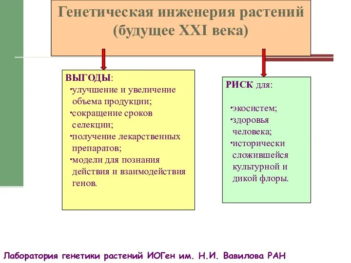 Лаборатория генетики растений ИОГен им. Н.И. Вавилова РАН