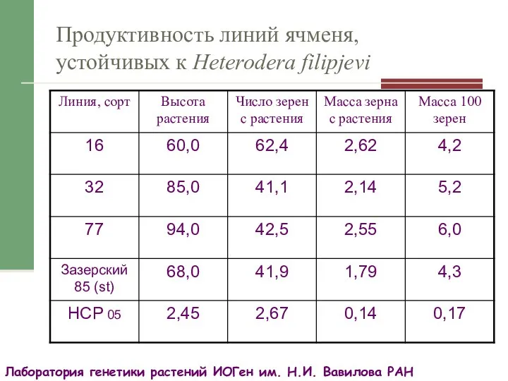 Продуктивность линий ячменя, устойчивых к Heterodera filipjevi Лаборатория генетики растений ИОГен им. Н.И. Вавилова РАН